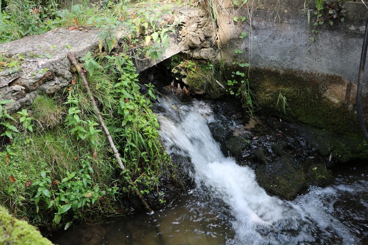 Moulin De Vilgris Bed & Breakfast Clairefontaine-en-Yvelines ภายนอก รูปภาพ